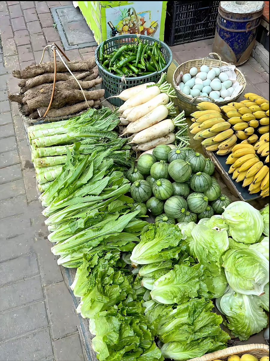Mark19258725215's tweet photo. Fresh seasonal veggies just restocked at the local farm stand! Crunchy carrots, sweet bell peppers, and ripe tomatoes perfect for your weekend salad. Stock up now while supplies last! https://t.co/Vh1F4B3zOj