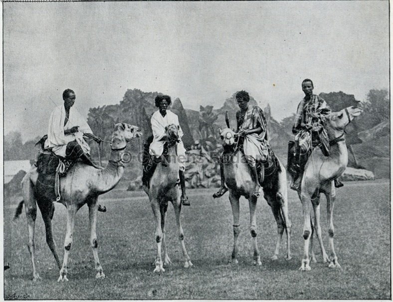 emzraw_'s tweet photo. 📜 1935 story of a camel raid in Somaliland 🐪⚔️

"Waa lagu dhintaa geel ninkii, dhaqo yidhaahdow e
Waa dheeman iyo luul ku jira, dhib iyo aafaade
Dhayal iyo ciyaar laguma helo, dhuug iyo aar laaye."

— Maxamed Nuur Fadal ✍🏾 https://t.co/Y43jHVVqnH