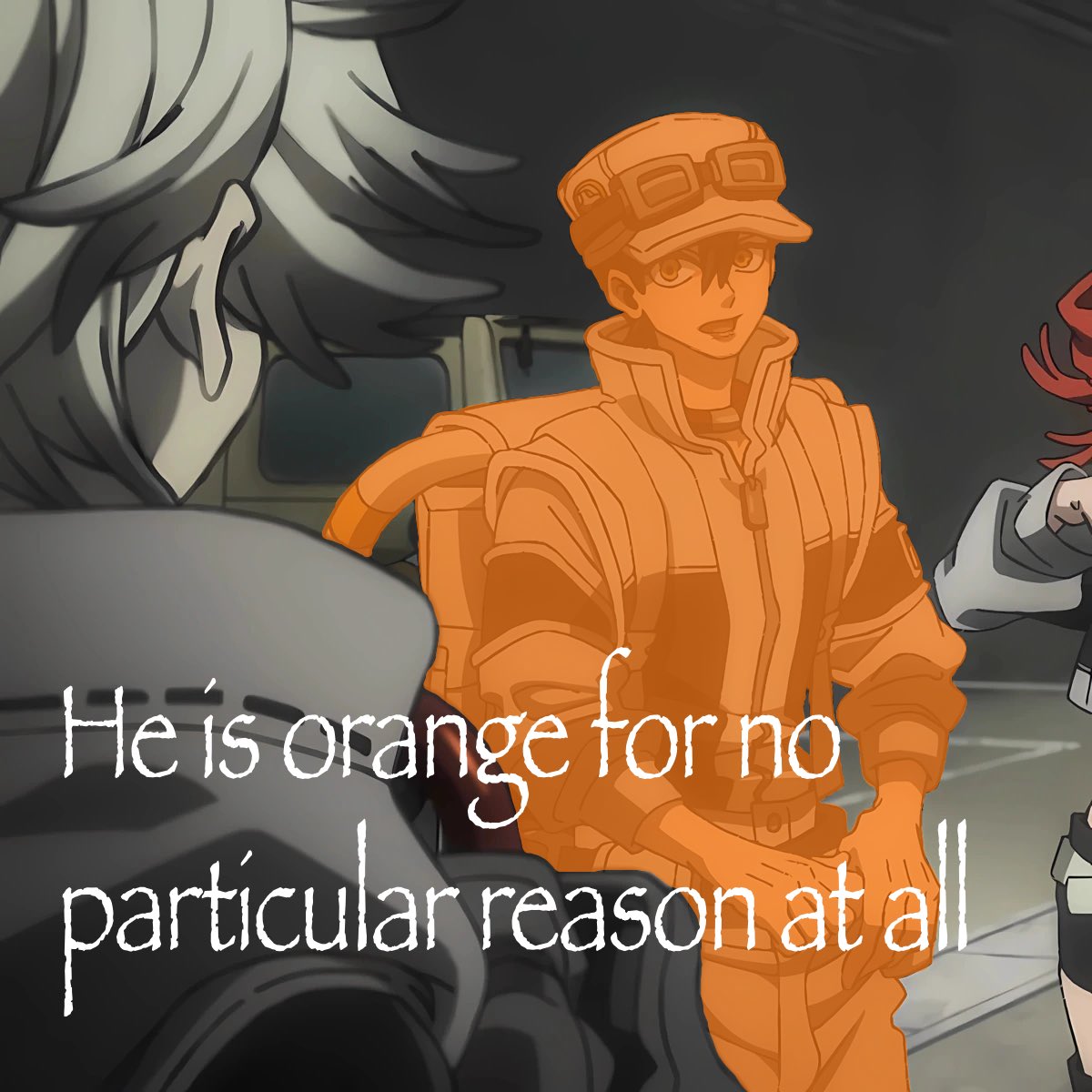 butchfollo tweet picture
