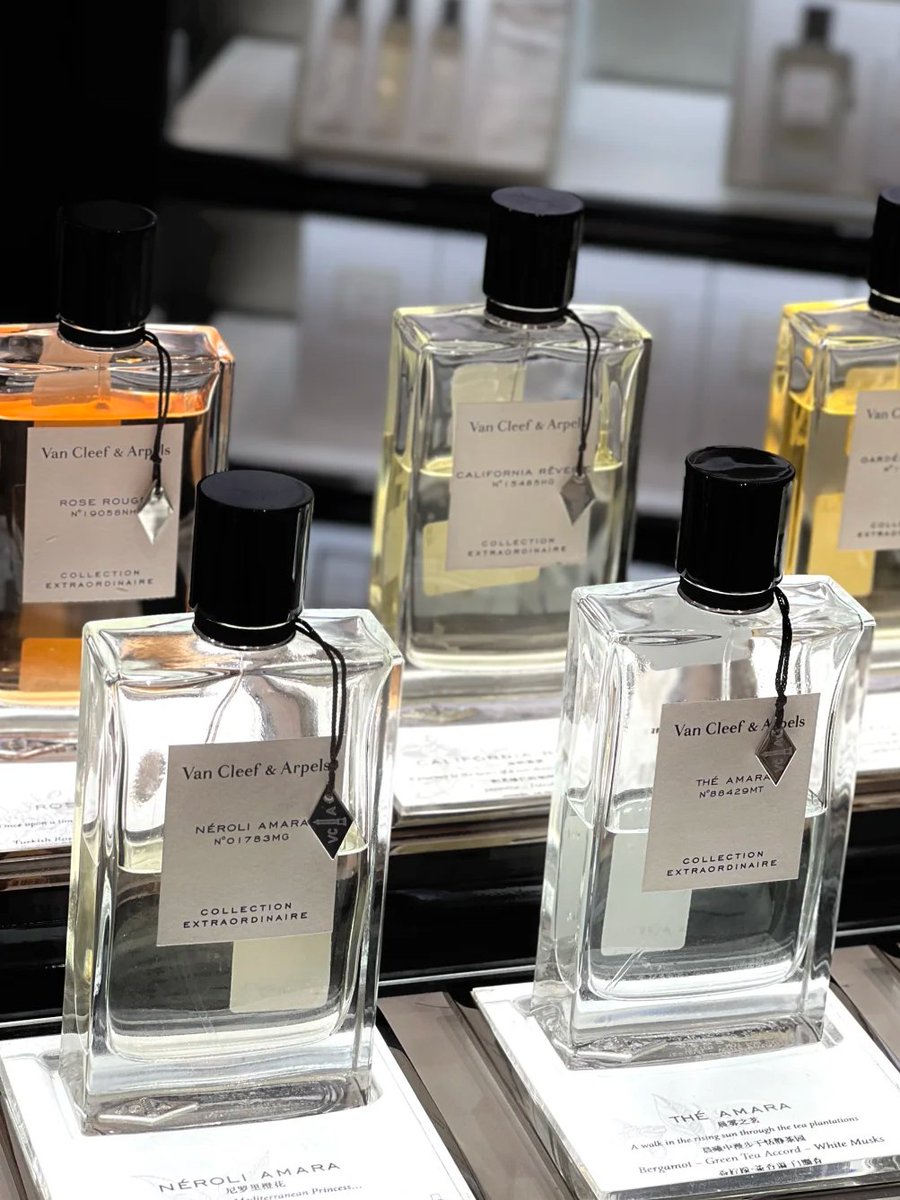 CharmingLLYY's tweet photo. Orange Blossom or Morning Mist Tea?! Both smell wonderful! https://t.co/5JocLp2UC1