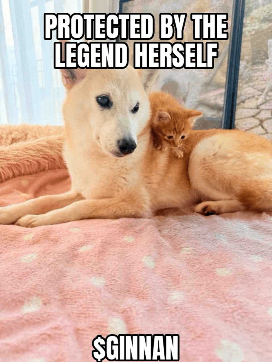ginnancoin_cto's tweet photo. protected by the legend herself https://t.co/xcqZVr1Q3T
