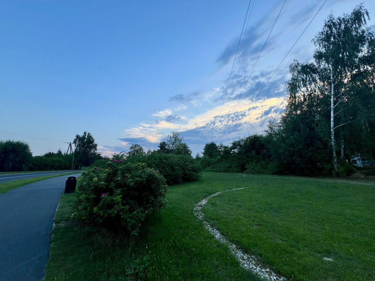 tomasznicieja's tweet photo. Najpierw mały trening siłowy, trochę gimnastyki i rozciągania, odpowiednie nawodnienie i ponownie bieg🏃♂️ Dzisiaj dystans się zgadza, tempo trochę wolniejsze nadal, ale jest dobrze 💪
#Garmin #Fenix7
#run #running #bieganie #walking
#zabieganyprogramista https://t.co/02tR7Vbhjp