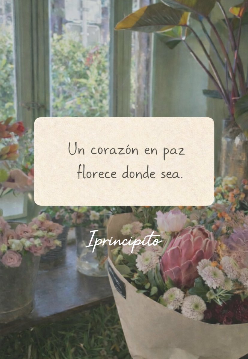 iPrincipito's tweet photo. ✨📩 https://t.co/ZIjvkqXVzK