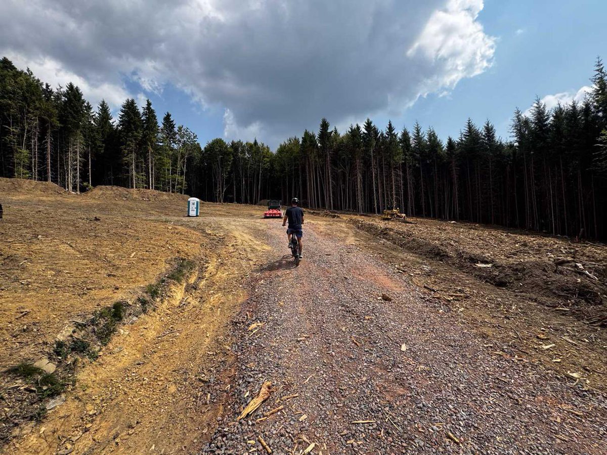 PauleAluhut's tweet photo. 🌲 BROMBEERKOPF, 26. JULI 2026 — DIE BILDER, DIE KEINER ZEIGT

Ich war gestern oben. Auf dem Berg, den das Landratsamt gegen das Nein der eigenen Naturschutzbehörde, gegen das zweifache Nein des Gemeinderats Stegen und gegen die massiven Bedenken des Bodenschutzes zur Windrad-Baustelle gemacht hat.

Was ich fotografiert habe, ist keine Holzernte. Es ist die Beseitigung eines Waldbodens:

⛏️ Wurzelstöcke mitsamt Wurzelwerk aus dem Hang gerissen — zu Bergen aufgetürmt. Die Struktur, die den Hang hält und das Wasser speichert, existiert nicht mehr.

🪨 Blanker Hangschutt, wo Humus war. Durch dieses Material läuft das Sickerwasser jetzt ungefiltert Richtung Quellfassungen — deren Schutz die Genehmigung selbst zur Bedingung gemacht hat: „Eine Beeinträchtigung muss unterbleiben."

🚛 Eine Schottertrasse in Schwertransporter-Breite, bis zu 35 % steil — fast das Doppelte dessen, was forstliche Richtwerte im Ausnahmefall erlauben. Jeder Quadratmeter: dauerhaft verdichtet, für die Grundwasserneubildung verloren.

🌪 Und an den Rändern: freigestellte Fichten, aufgewachsen im geschlossenen Bestand, nie windexponiert. Die Rodung von heute ist der Windwurf von morgen.

Die Gemeinde Stegen hatte „minimale Waldinanspruchnahme" gefordert. Die Bilder zeigen, was daraus wurde.

Und das ist erst der Anfang — vor den Kranstellflächen, vor den Fundamenten, in die mehrere hundert Kubikmeter Stahlbeton kommen. Der größte Teil bleibt nach gesetzlicher Lage für immer im Berg.

Seit 35 Jahren läuft 344 Meter weiter ein EU-Waldmonitoring im Bannwald Conventwald. Dessen Messreihen belegen: Jede Kronendach-Unterbrechung mobilisiert Nitrat — direkte Gefahr fürs Trinkwasser. Hier wurde das Kronendach nicht unterbrochen. Es wurde entfernt.

📸 Alle Bilder im Fotobeitrag:
👉 https://t.co/OfdJYiDCD1

Die Natur hat keine Stimme. Aber sie hat Zeugen.

Weiterleiten ausdrücklich erwünscht. 🌲