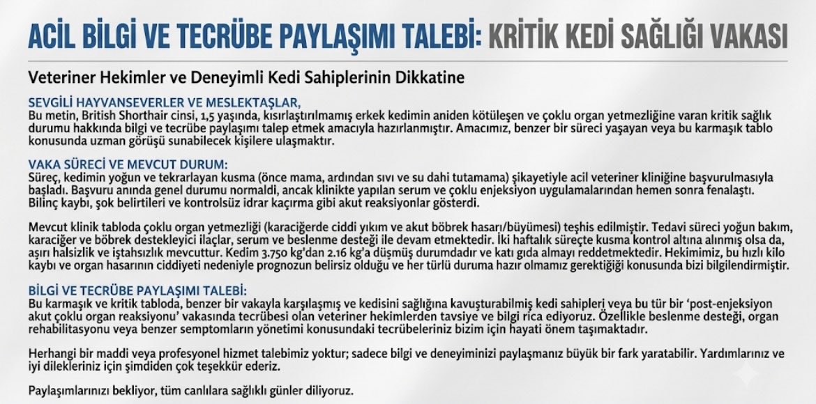 Ggkcnoz's tweet photo. ACİL 🚨Dilim döndüğünce kalan tüm gücümle açıklamaya çalıştım vakit ayırırsanız çok sevinirim şimdiden teşekkürler https://t.co/d9s9BFUfIC