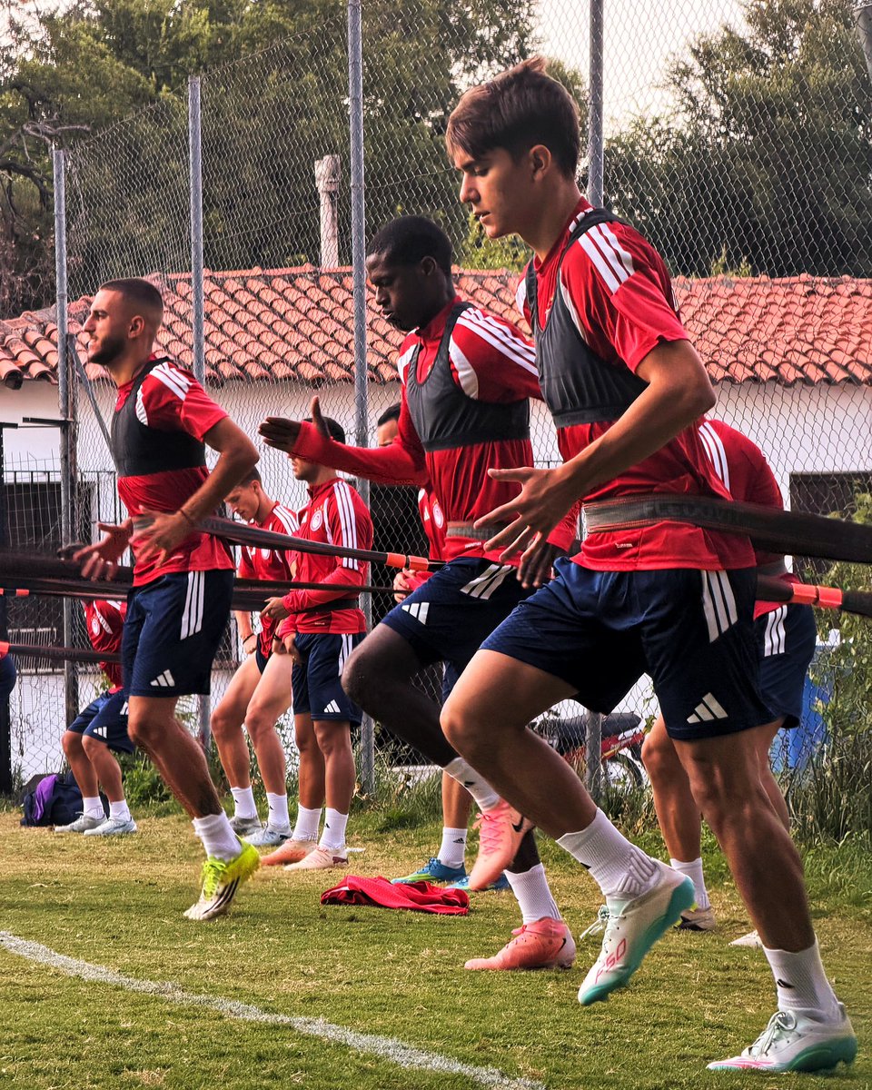olyfcacademy's tweet photo. 𝗢𝘂𝗿 𝗺𝗼𝗿𝗻𝗶𝗻𝗴 𝘁𝗿𝗮𝗶𝗻𝗶𝗻𝗴 𝘀𝗲𝘀𝘀𝗶𝗼𝗻 🔴⚪🌤️
#Olympiacos #OlympiacosU23 #PreSeason2026 #SLGR2 https://t.co/FlVo9rVarI