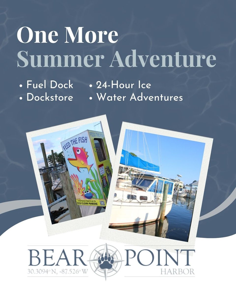 BearHarbor's tweet photo. There's still plenty of time to get out on the water, watch a sunset, reel in a big catch or spend the day cruising around Orange Beach.
📍5749 Bay La Launch Ave, Orange Beach
#BearPointHarbor #OrangeBeach #BoatLife #SummerOnTheWater https://t.co/yQHSe9TJER