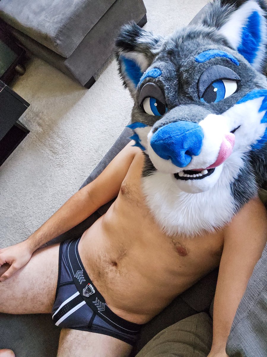 DogDrezAD's tweet photo. Happy #nationalunderwearday!!!

Pt. 2 https://t.co/Vh4i7oQXtT