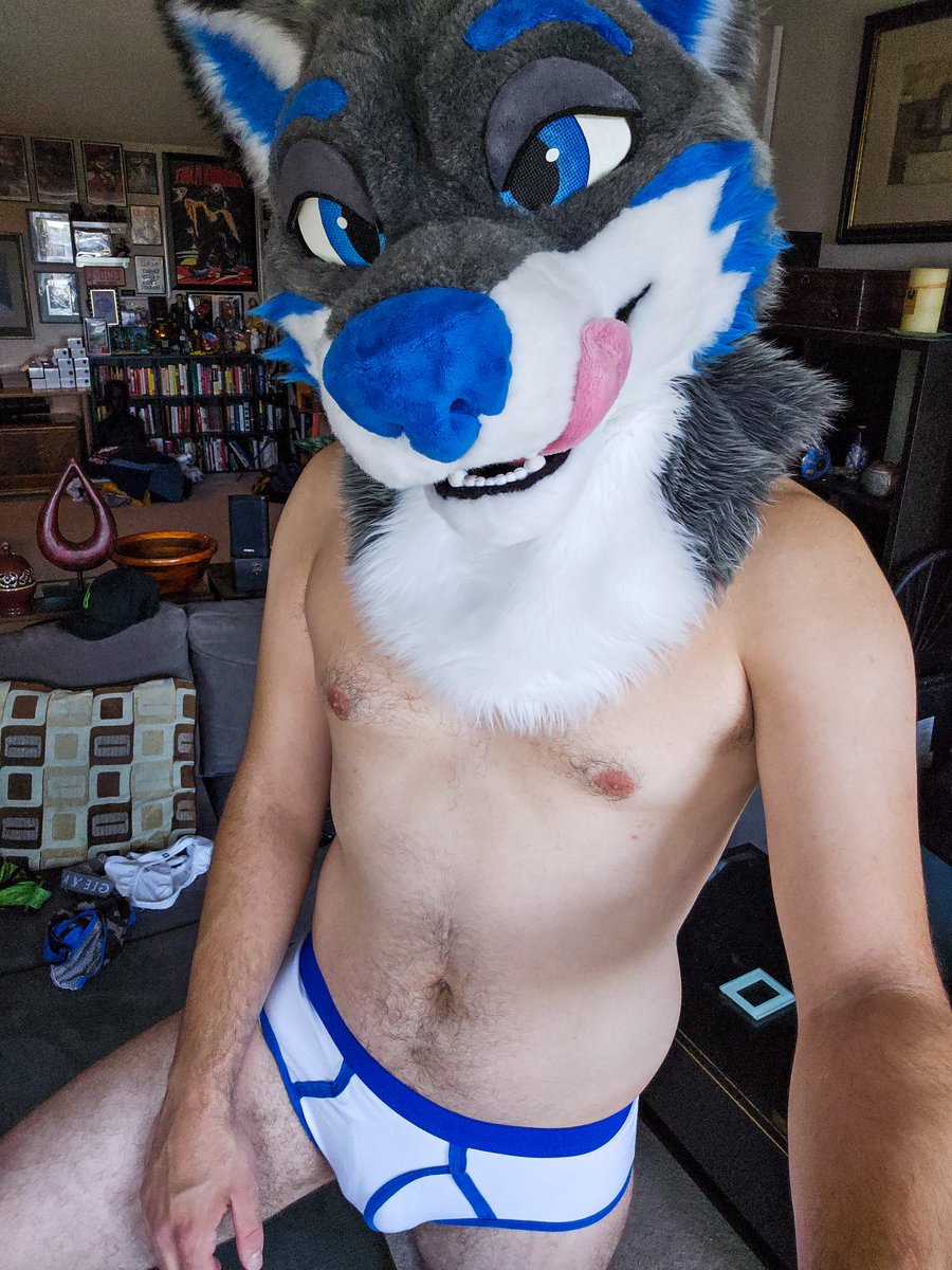 DogDrezAD's tweet photo. Happy #nationalunderwearday!!!

Pt. 4 https://t.co/D9JYwYZZEq