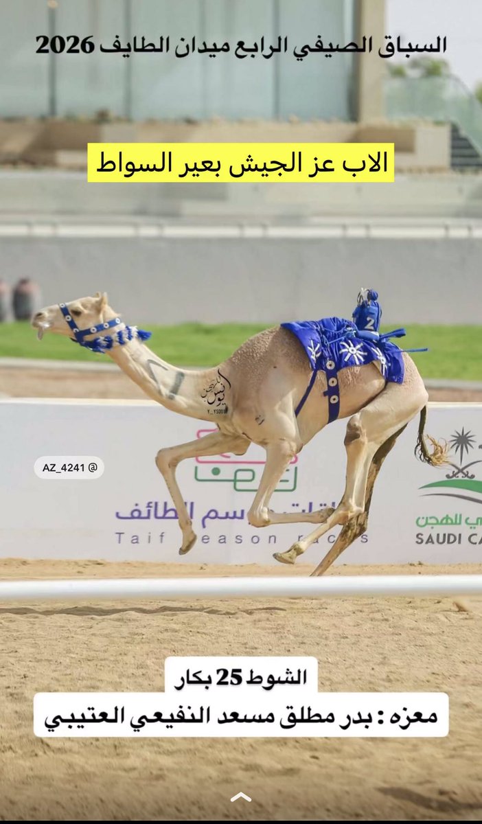 camelksa7's tweet photo. https://t.co/RfAedfV1co