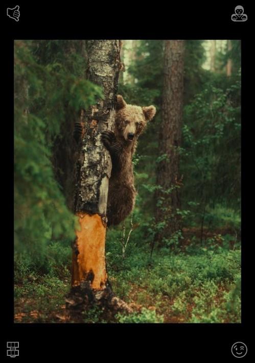GanasBabi's tweet photo. 👐Refrain from measuring your private battles against the curated successes others showcase. Beneath the surface, whether in digital spaces or real life, everyone endures unseen difficulties that remain invisible to you. Take ownership of your own joy. https://t.co/8KmvyYomwh
