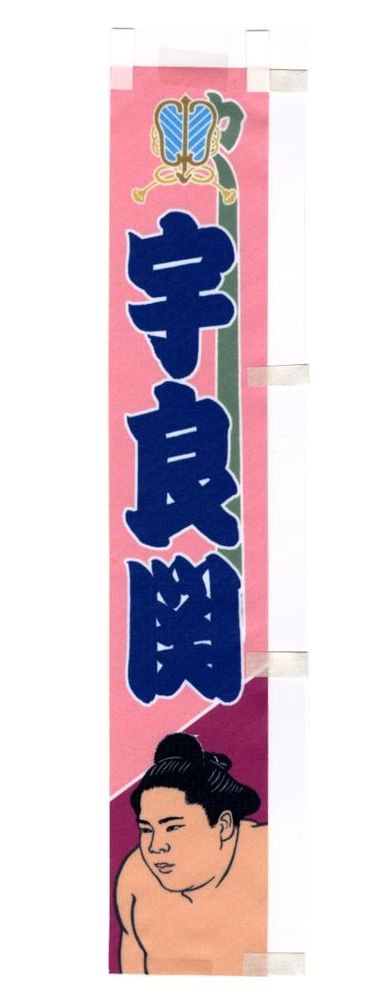 bigSUMOfan's tweet photo. We just restocked Desktop Banners for Hoshoryu, Aonishiki, Ura, Asakoryu, Fujinokawa, Shishi, Takayasu, Tamawashi, and Wakatakakage.

https://t.co/FNC7iqMhHc

#sumo #bigSUMOfan #SumoKaboom #Sumo_Jason https://t.co/tY3XdvJ6KZ