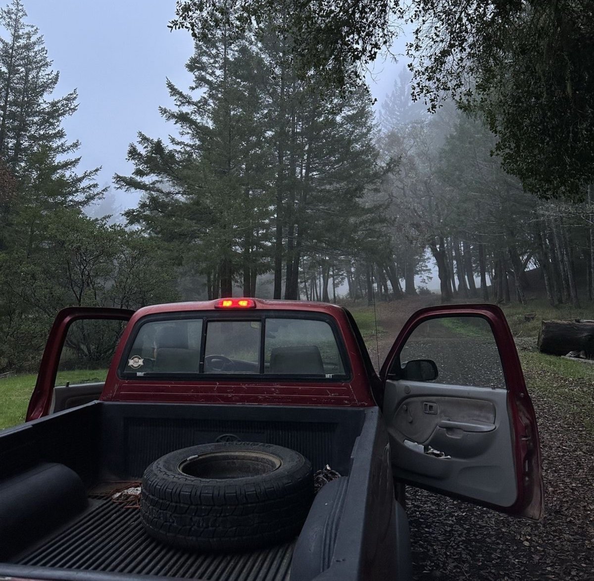 visualsofearth1's tweet photo. Solitude in the woods https://t.co/rulVyY13tl