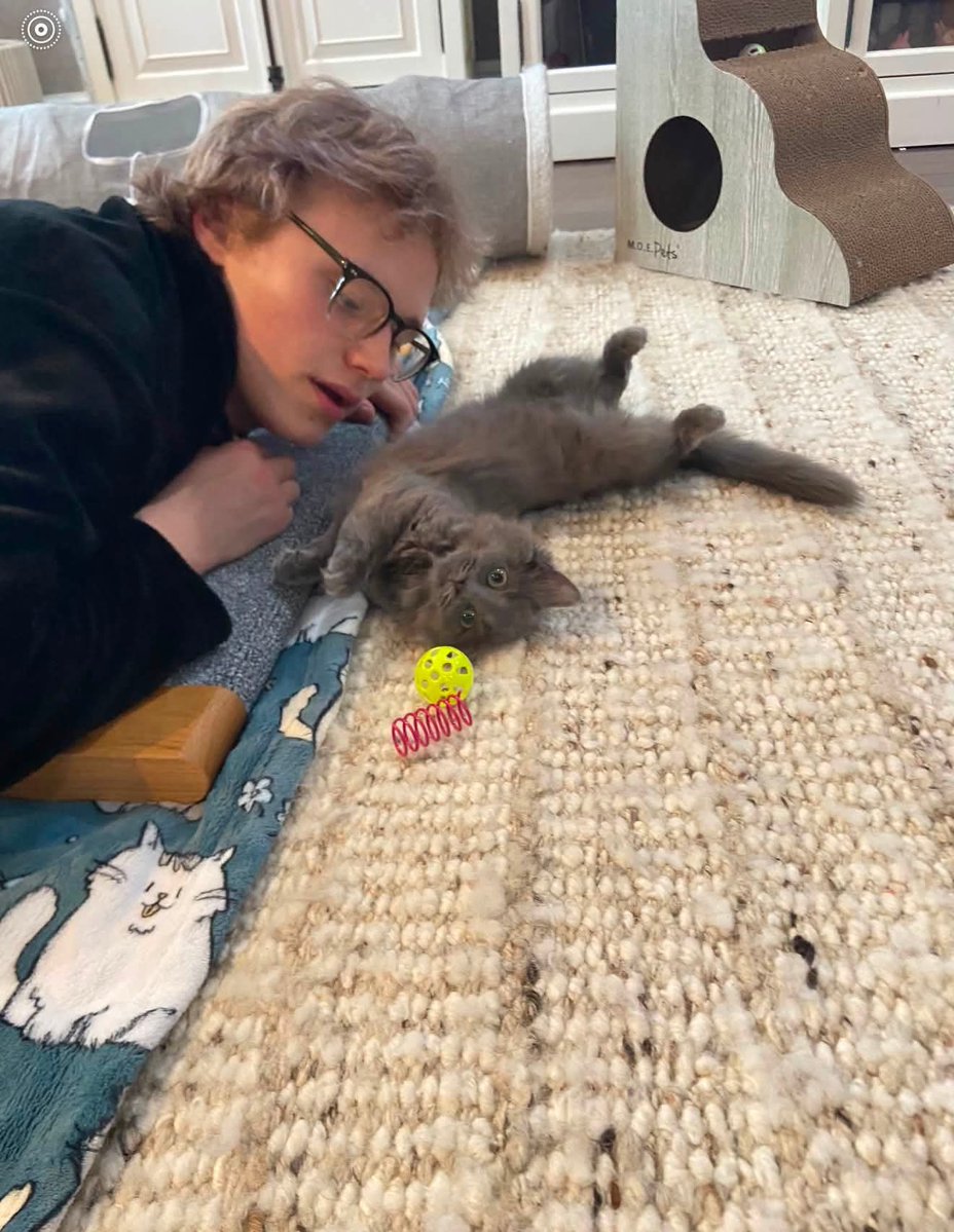 TheIliaSociety's tweet photo. More of Ilia Malinin in newly shared photos with his cat Mila.

📸 Desert Ragdolls https://t.co/xkTKK4i4n0