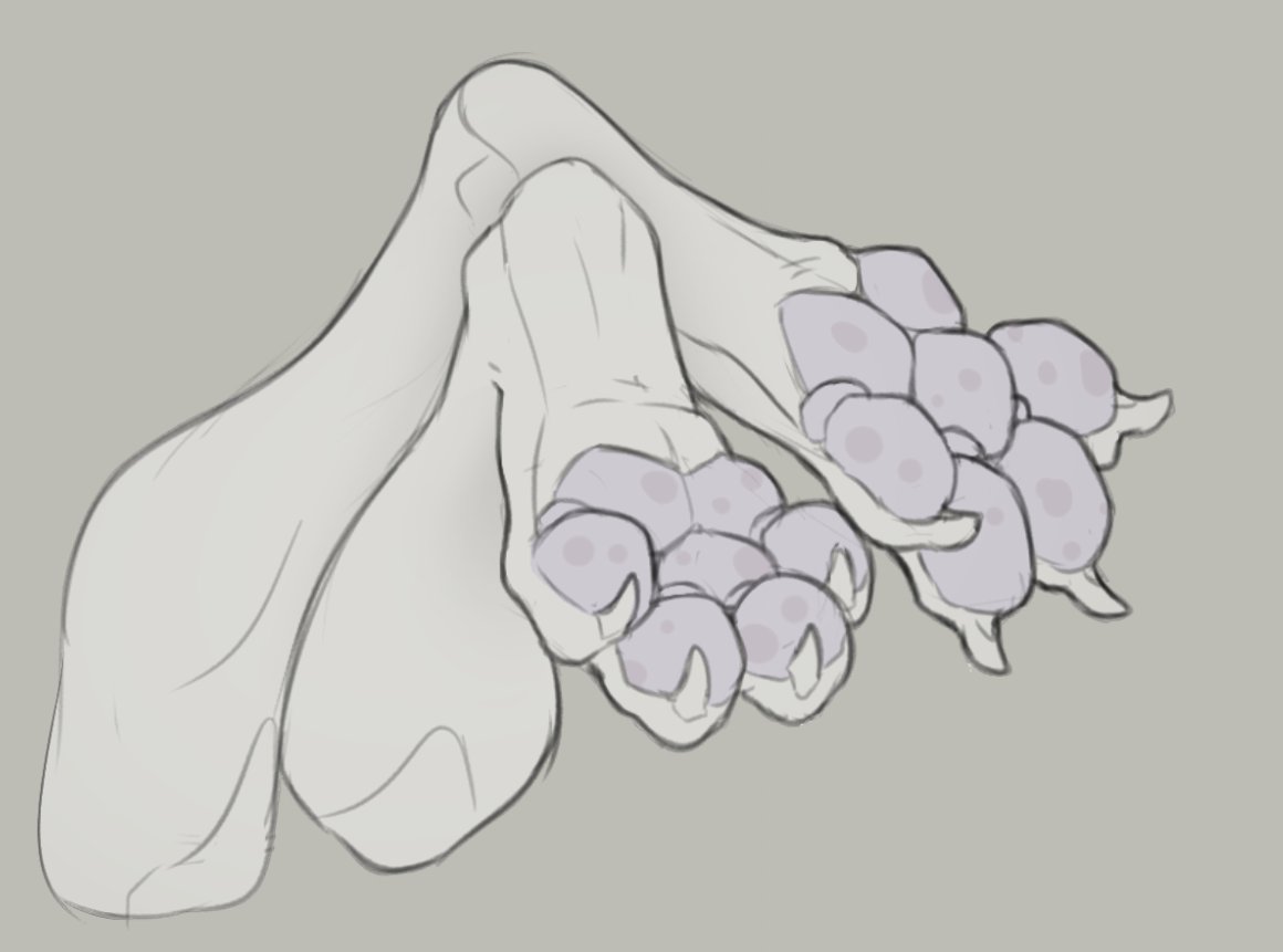 dem0npaws's tweet photo. have some quick bird beans https://t.co/kJhQd0dkxS