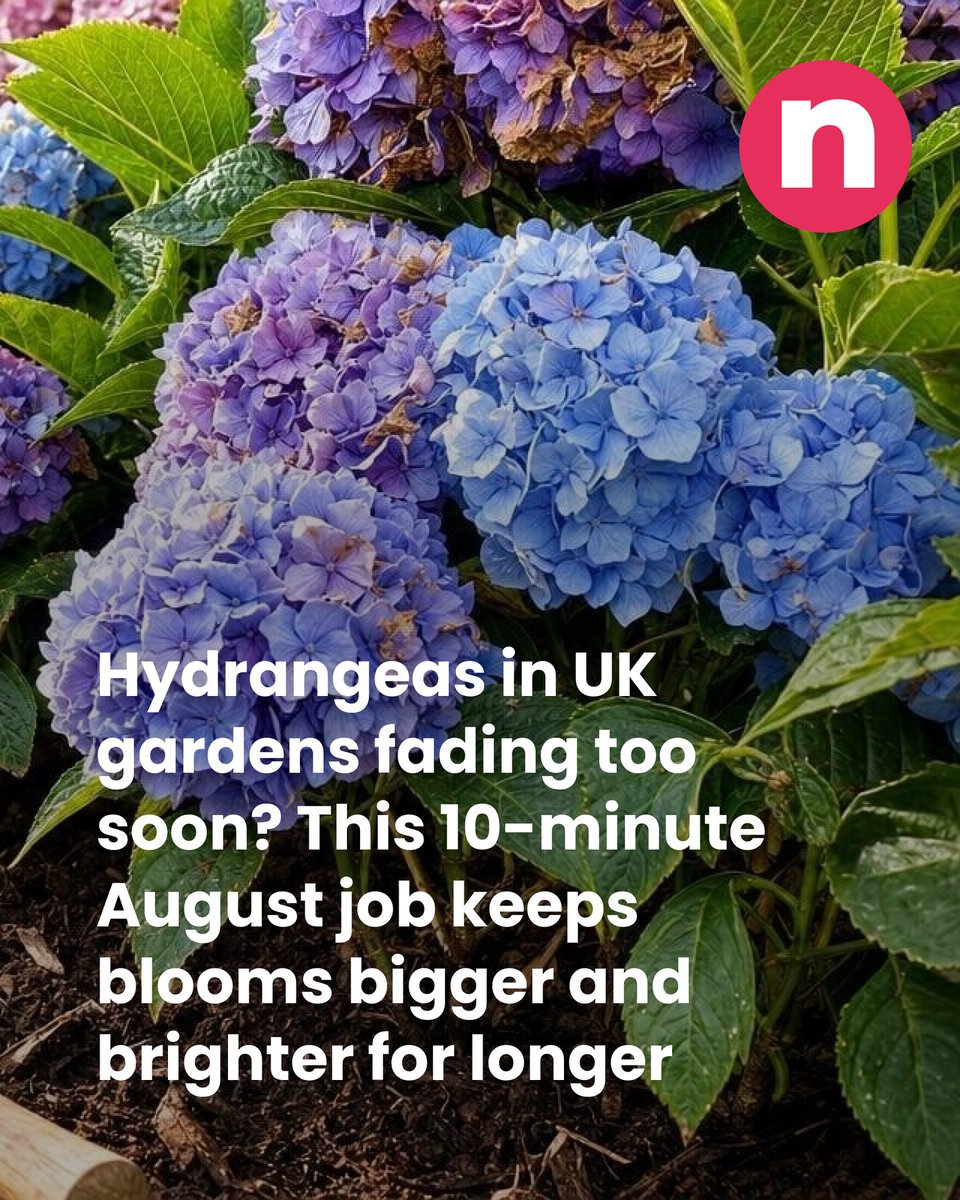 Netmums tweet media