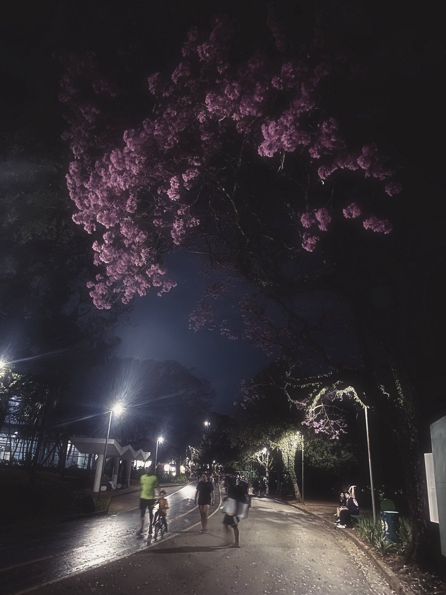 coresquemetocam's tweet photo. pois tudo que é amor, parece com você. @obscennus https://t.co/C0ap0xGZsv