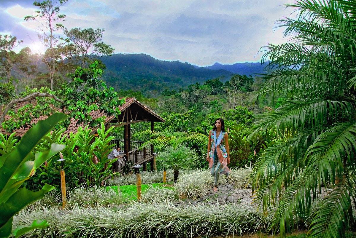 Sectur_Chiapas's tweet photo. Vive una experiencia de bienestar rodeada de naturaleza.
☕ @argovia_wellness es una finca cafetalera centenaria en Chiapas, donde la naturaleza y el bienestar se encuentran en un mismo lugar.
#ChiapasExtraordinarioPorNaturaleza #Tapachula https://t.co/qx2bQFho4c