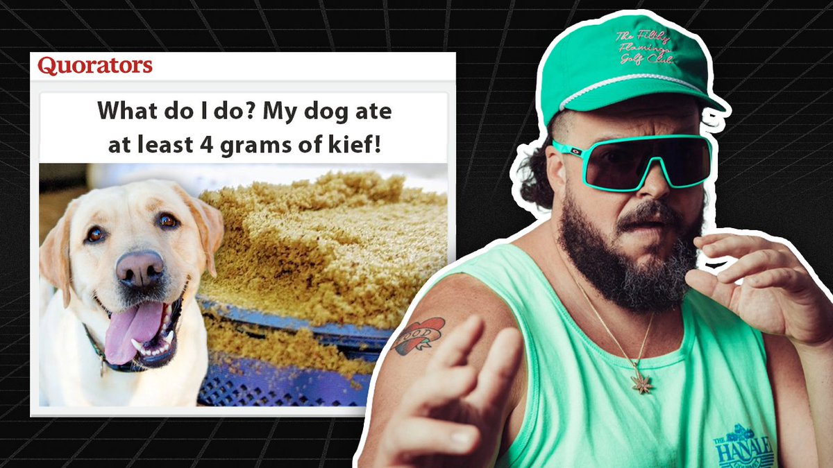 Quorators's tweet photo. NEW QUORATORS w/ JON GABRUS!

→ Why do some members say weed is injurious to the human body?

→ What is the difference between weed &amp; ganja?

→ Can an undercover sit and smoke drugs with someone?

AND MORE! GO WATCH: https://t.co/gdpgU8J3O9 https://t.co/61mzxNZ9Ps