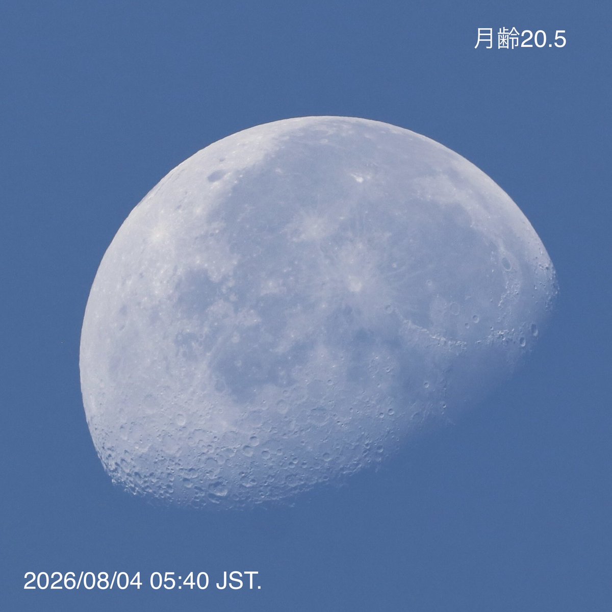 S_Takemura's tweet photo. 南南西の青い空に綺麗な月。涼しい朝。熊本も涼しくなれ。 https://t.co/6WocyqIWq4