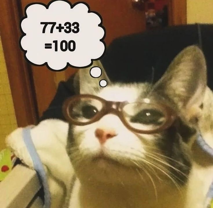 PunchingCat's tweet photo. https://t.co/eiWtcyyYnS