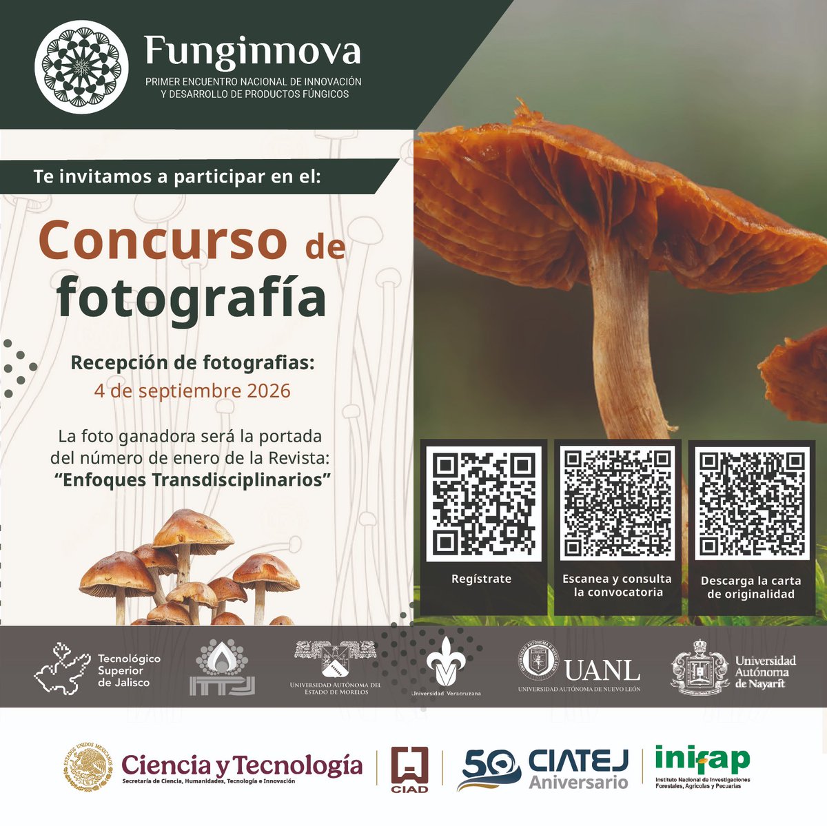 CIATEJ's tweet photo. 🍄📸 ¡Captura la belleza del reino fungi!
Participa en el Concurso de Fotografía Fúngica “Hongos entre nosotros”, en el marco de @funginnova_mx 2026. 🌿
📩 kateymennet_pos@ciatej.edu.mx 📩 ibarrera@ciatej.mx
#Funginnova2026 #Fungi #Hongos #Hongosto https://t.co/kkTrOZs3Cm