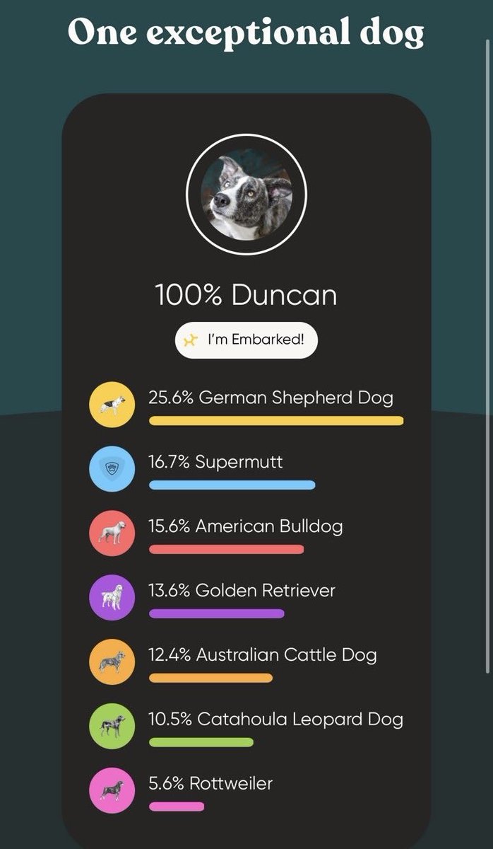 SteffyEvans's tweet photo. WE GOT HIS DNA RESULTS🥹🧬 https://t.co/efQtj77sNE