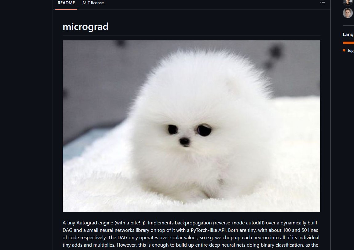 Nukooszn's tweet photo. karpathy just updated something on his github 1 hour ago called "micrograd" and it has a little dog on it lol, no idea what this is but little dog + karpathy tek = bullish teknology. https://t.co/M1232lFGTS https://t.co/xqxCrdySO7