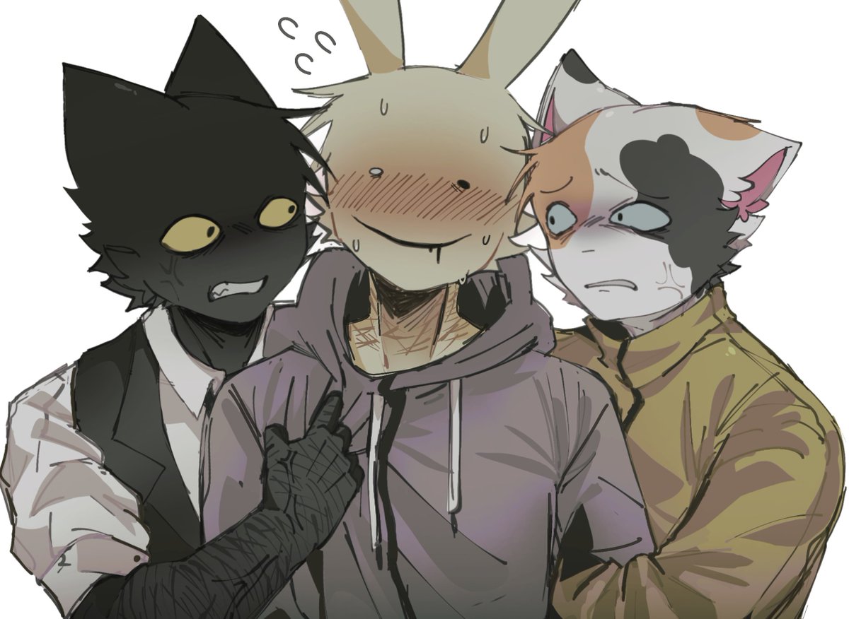 bl9edings's tweet photo. Pick your kitty, intern https://t.co/q2JrTS6uYs