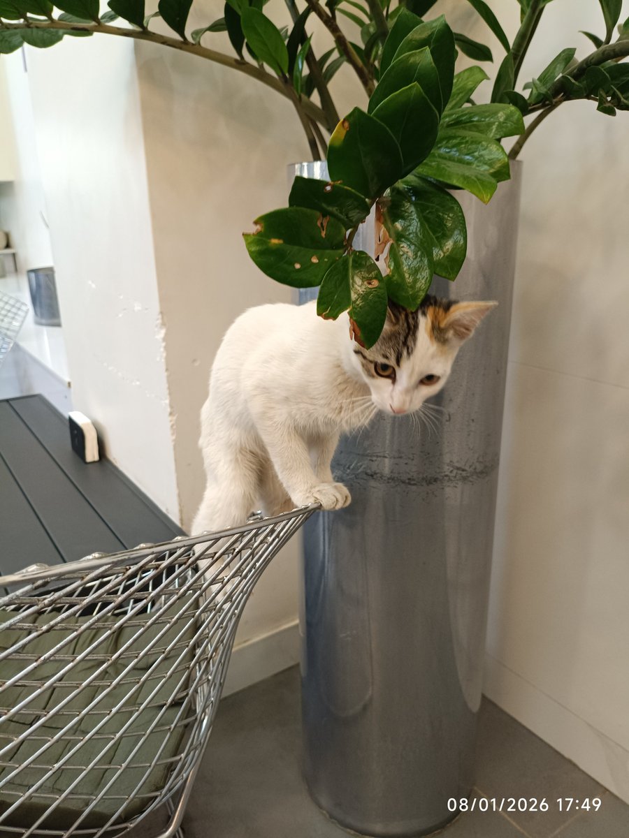 inahastam's tweet photo. هربار این بچه رو میبینم یاد امیرمربا میفتم https://t.co/mH9bTWb412