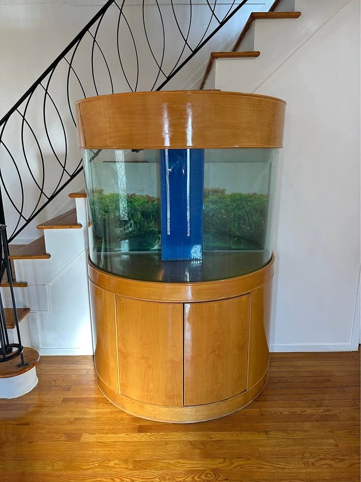 dinosaur_info's tweet photo. Sometimes you see objects on facebook marketplace that you thought only existed in The Sims 1 https://t.co/w8JYdk3zKX