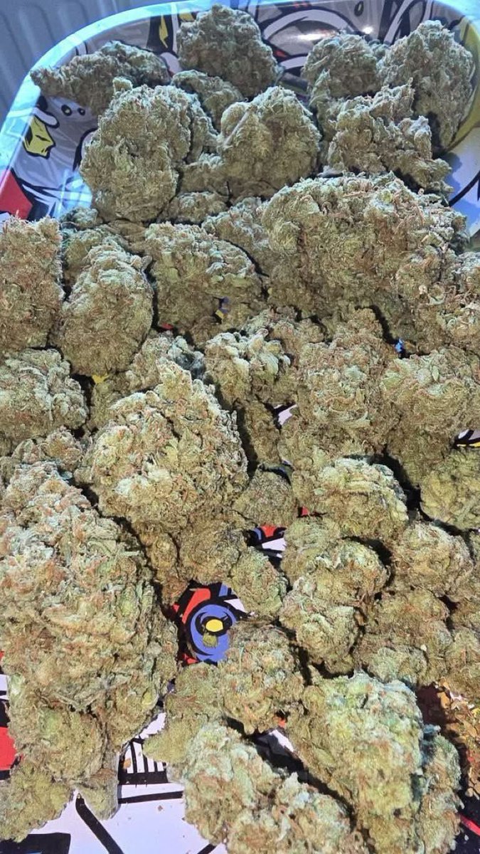 ster6_'s tweet photo. Get weed Vapes
London weed 
weed manchester 
weed Salford 
weed Edinburgh 
weed reading 
weed Droylsden 
weed Prestwich 
weed Oxford 
weed birmingham 
weed Middleton
weed Bristol Whitefied
Leicester Liverpool
Stockport Vape
#NUFC #LondonTravel https://t.co/v9oytZFyz5