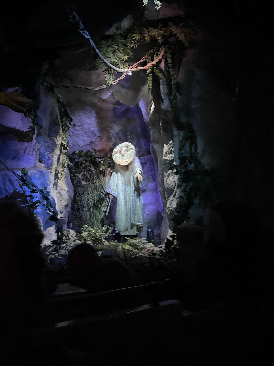 StarMightyy's tweet photo. The first caliph in the Fata Morgana was a bit tired today 

De eerste kalief in de Fata Morgana was een beetje moe vandaag in de #Efteling https://t.co/ZqHxvejL1l