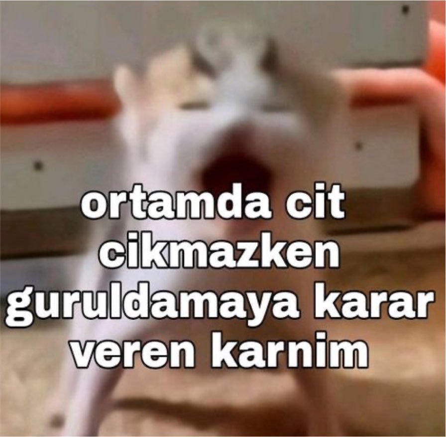 dertlifenerlii's tweet photo. https://t.co/Zz7lIHWnZV