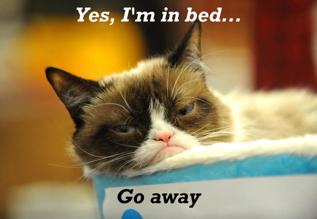 FlissZak's tweet photo. Good night, people. Sleep tight. See you on Tuessay.
#WritingCommunity #poetrycommunity #readingcommunity #GrumpyCat #GoodNight https://t.co/SluhxvTe84