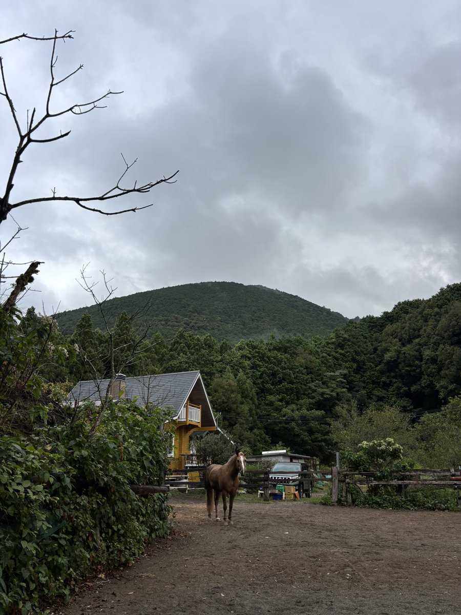 marincaorca's tweet photo. 今朝は曇ってて、ちょっと小雨。
何日ぶり？涼しい朝だ〜♪ https://t.co/9Z0jDe83j8