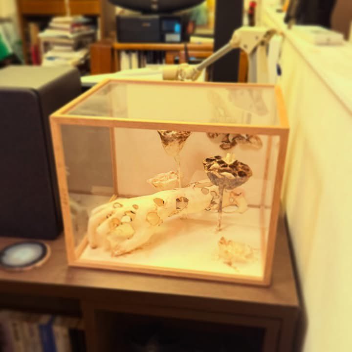 GreatTogo's tweet photo. 別府の地獄といえば、温泉じゃなくゲンシシャ。昔の教え子ウチダリナの作品も。釣崎清隆写真は初期から見てるので、エンバーミングの「オロスコ」の名前覚えてた。そういうコトばかり忘れないで死んでいくんだと。岡本太郎の外壁があったり、セットの様な家があったり、また来ないといけないナ。 https://t.co/VnBTk8ee02