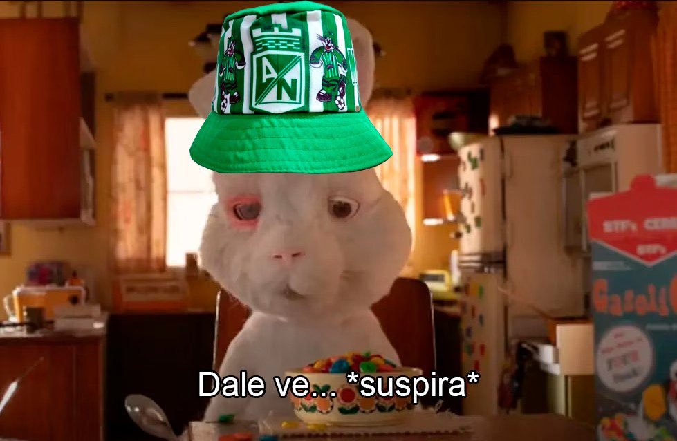 MonshoS_01's tweet photo. Como así que Rengifo se va a ir? 😿 https://t.co/kvCzTFKF7K