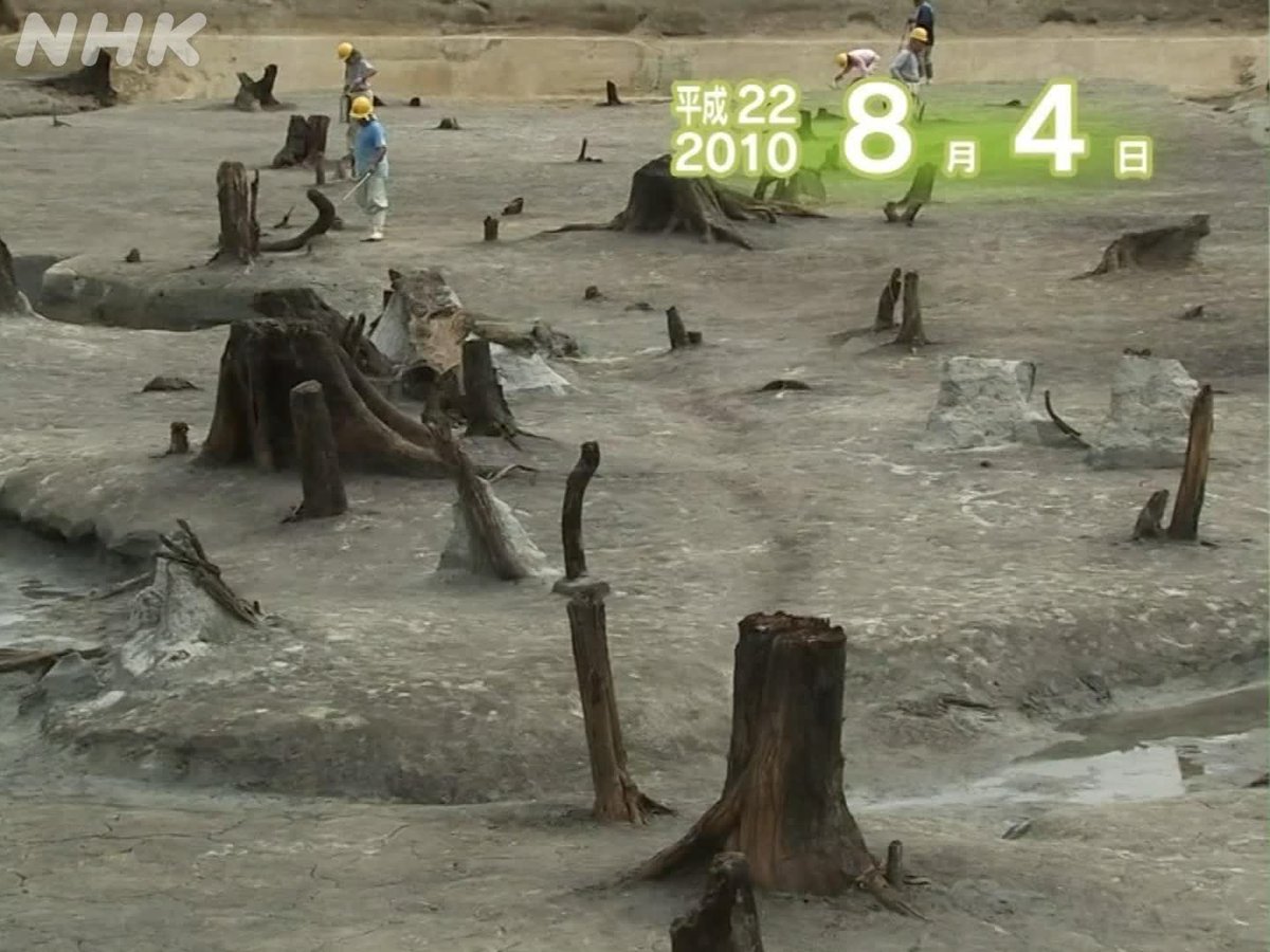 8月4日の過去ニュース②】 ☆遺跡から水田と森の跡（2010年） 平成22年