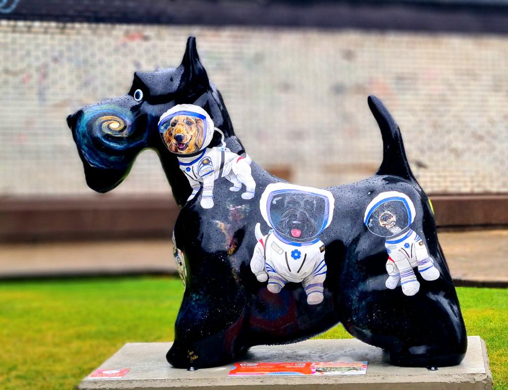 is_glasgow's tweet photo. Ground Control To Major Canis, one of the Maggie's Art Trail Scotties. Designed by Jina Gelder, it can be found in the Rottenrow Gardens

#glasgow #scottiesinthecity #sculpture #publicart #rottenrow https://t.co/FkJSiPXFje