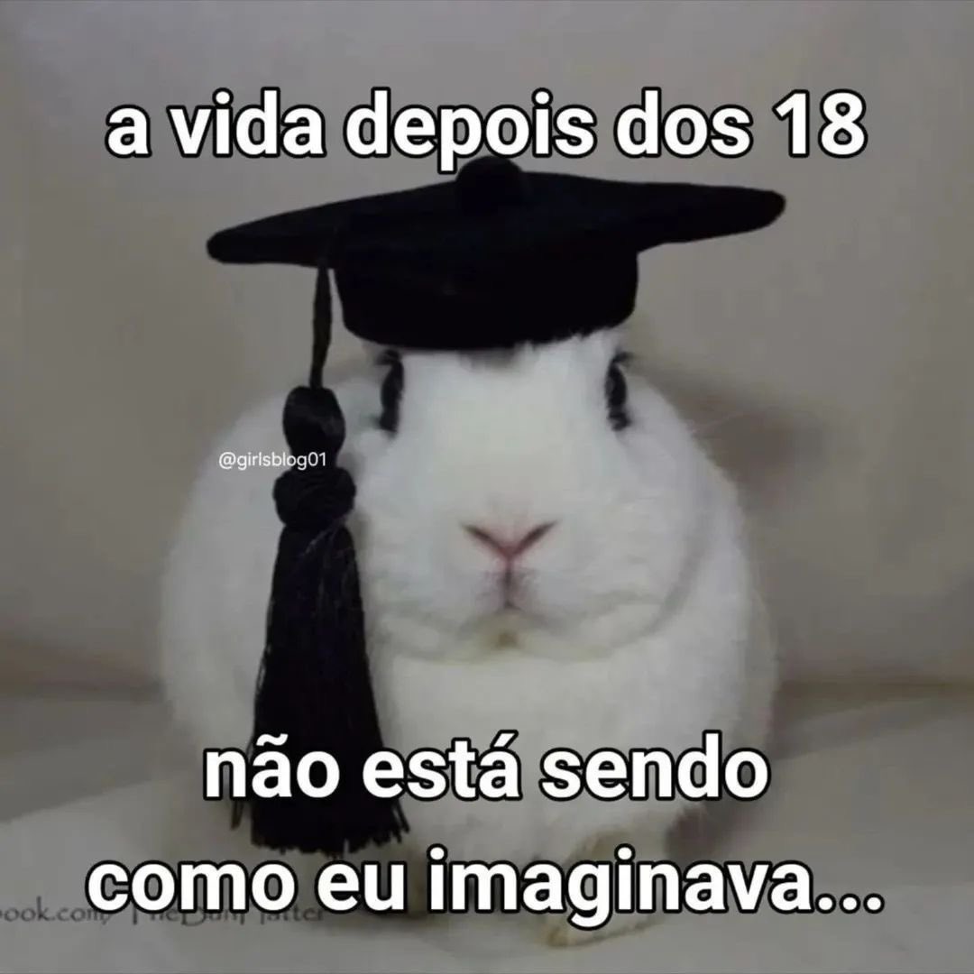 shitpostverdade's tweet photo. https://t.co/E2VVDePXYX