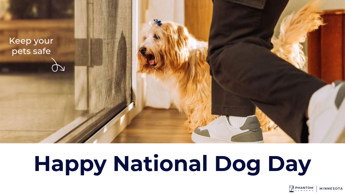 MNScreens's tweet photo. Celebrate National Dog Day by creating a safe home for your furry friend! 🐕

With our Mesh Lock option, door screens are secured in the top and bottom tracks, keeping pets safely inside. Learn more: https://t.co/BX6vGZUp4c https://t.co/Mp9SOimkwy