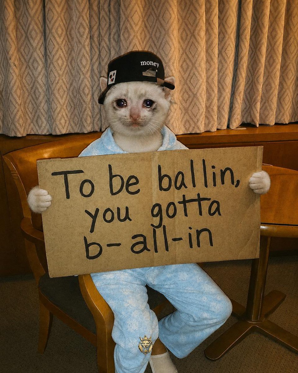 Cashkitten_RH's tweet photo. All in $CASHKITTEN https://t.co/ziV5L2ancv