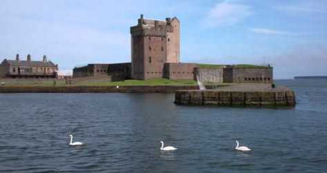 tourscotland's tweet photo. Tour #Scotland travel video Blog of #Swans by #Broughty #Castle on #history visit and trip near #Dundee. A historic castle completed around 1495, although the site may have been first fortified in 1454 https://t.co/ZeVGLtxvEe https://t.co/nH0DuSLRDW