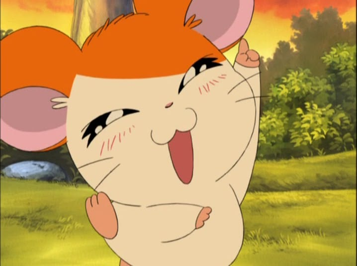 hamhamposting tweet picture