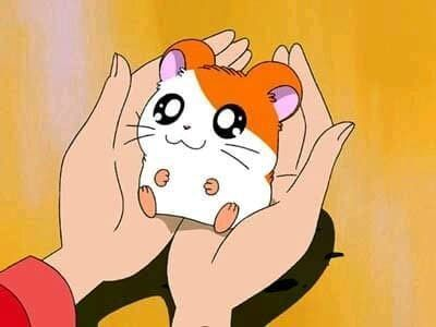 hamhamposting tweet picture