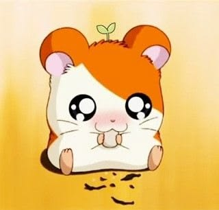 hamhamposting tweet picture