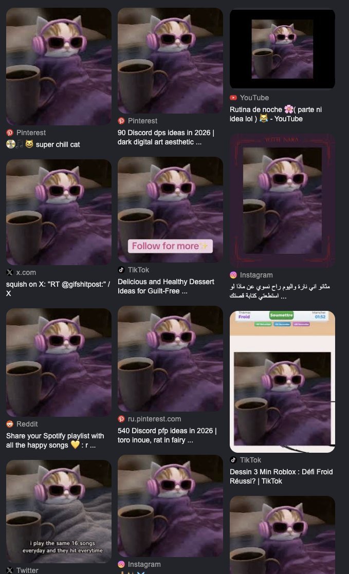 retXBT's tweet photo. this might be the next viral cat meme runner 🤣🤣

a cat just straight chilling with his shades on relaxing next to a cup of warm coffee 🤣

the perfect "chillcat" meme runner thats going viral all over X, reddit, ig and fb https://t.co/lcDiWV5Rel
