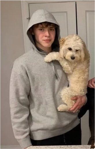 jwangg7's tweet photo. vai @BuzzFeed, se aproveite que o hockey tá em alta e coloque will smith (hockey) e macklin celebrini na sua puppy interview!!! eles vão responder as perguntas? provavelmente não, mas vai ser lindo!! https://t.co/NiGa4PC645