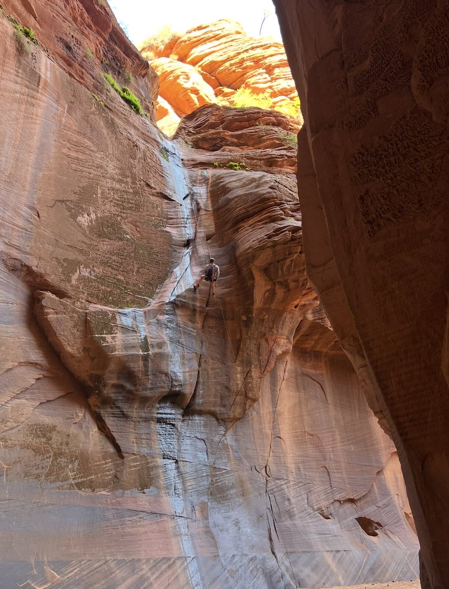 Cernovich's tweet photo. I was in Utah rappelling and the guide (great young Mormon man, native to Utah) was telling us how expensive Utah has gotten. Your plan allows wages to stay low and visa holders get welfare and locals get priced out. https://t.co/3dTJ91o0E9